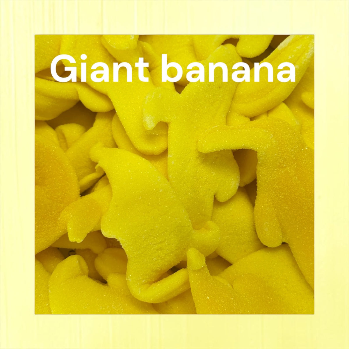 Extra Large Gummy Banana