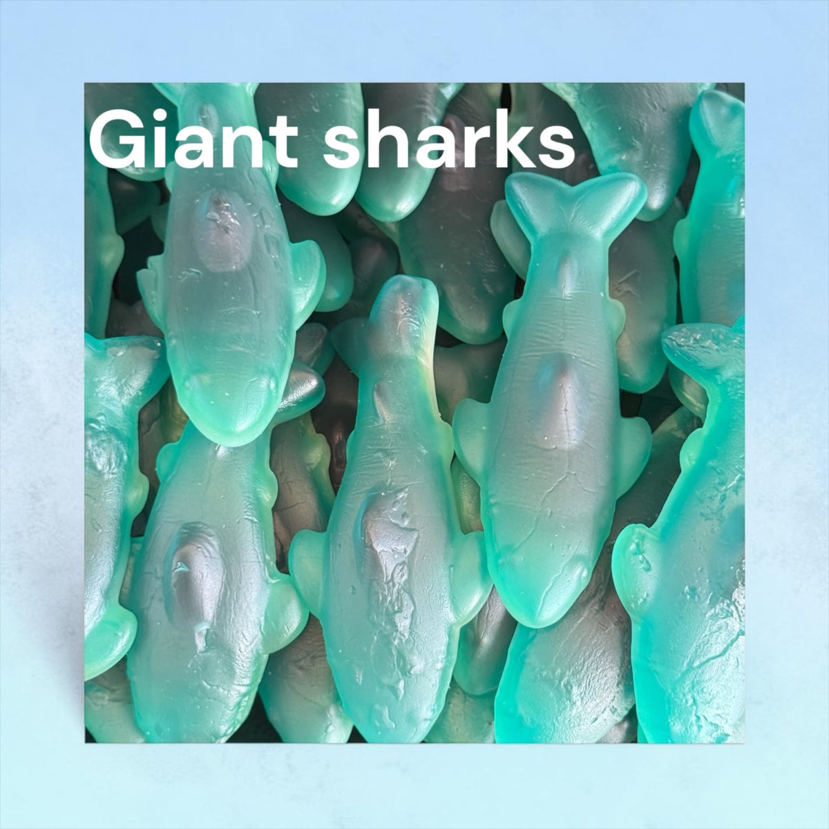 Giant Blue Sharks