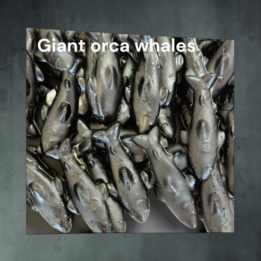 Giant Orca whale
